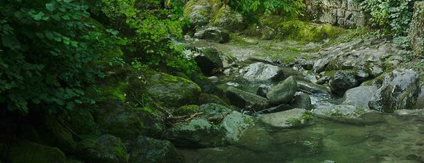 Sentier du Renard - Gottettaz