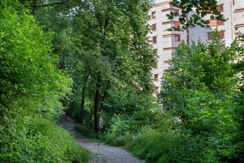 Vuillemin-Borde trail