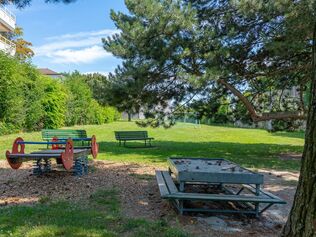 Primerose, the Plains