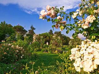 Place du Général Henri-Guisan